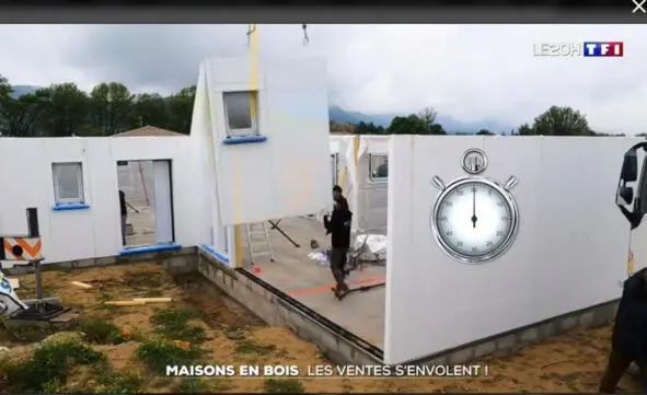 Для аромата и радования глаз репортаж из Голландии где выращивают цветы для - фото 129