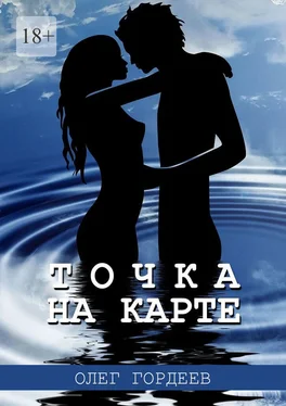 Олег Гордеев Точка на карте обложка книги