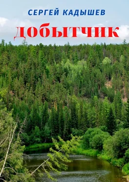 Сергей Кадышев Добытчик обложка книги