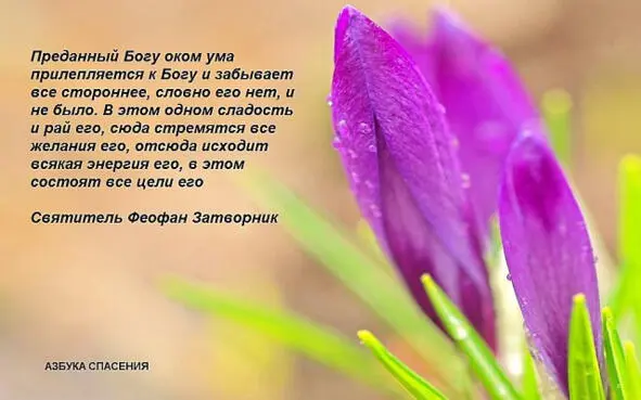Это однако не укор нынешним нашим апостолам Вначале они точно опираются на - фото 24