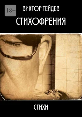 Виктор Тейдев Стихофрения обложка книги