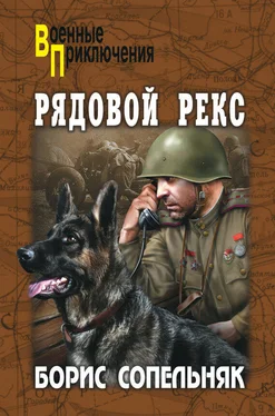 Борис Сопельняк Рядовой Рекс (сборник) обложка книги