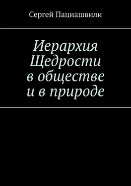 Сергей Пациашвили Иерархия Щедрости в обществе и в природе обложка книги