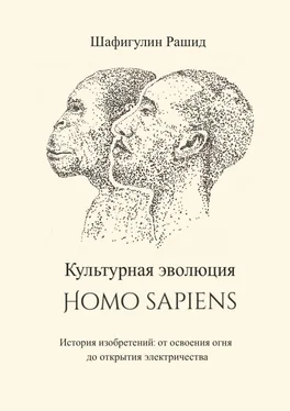 Рашид Шафигулин Культурная эволюция Homo sapiens. История изобретений: от освоения огня до открытия электричества обложка книги