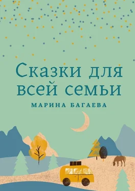 Марина Багаева Сказки для всей семьи обложка книги