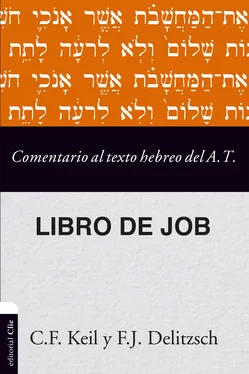 Franz Delitzsch Comentario al texto hebreo del Antiguo Testamento - Job обложка книги
