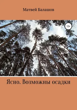 Матвей Балашов Ясно. Возможны осадки обложка книги