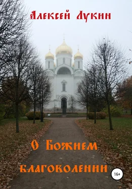 Алексей Лукин О Божием благоволении обложка книги