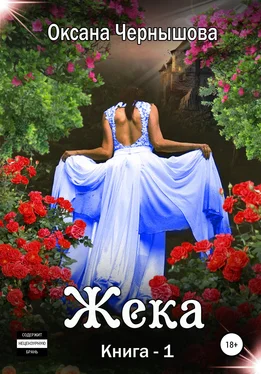 Оксана Чернышова Жека. Книга 1 обложка книги