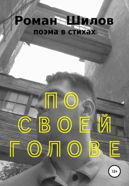 Роман Шилов По своей голове обложка книги