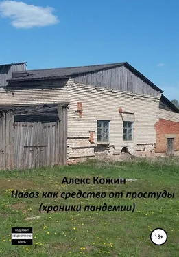 Алекс Кожин Навоз как средство от простуды (хроники пандемии) обложка книги