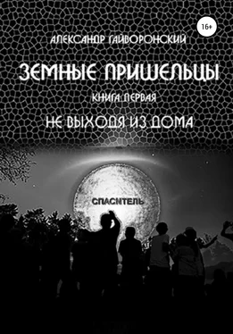 Александр Гайворонский Земные пришельцы. Книга первая. Не выходя из дома обложка книги