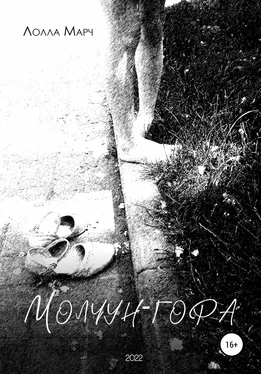 Лолла Марч Молчун-гора обложка книги