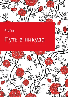 Prai'ns Путь в никуда обложка книги