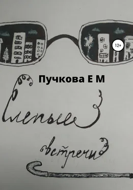 Елена Пучкова Слепые встречи обложка книги