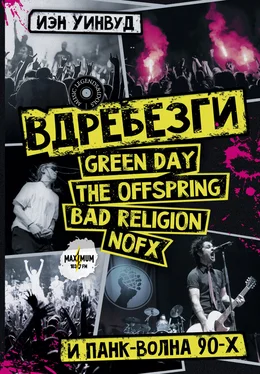Иэн Уинвуд Вдребезги: GREEN DAY, THE OFFSPRING, BAD RELIGION, NOFX и панк-волна 90-х обложка книги