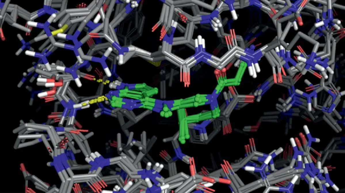 Figure 23 Superimposed crystal structures of TYK2 JAK1 JAK2 and JAK3 - фото 4