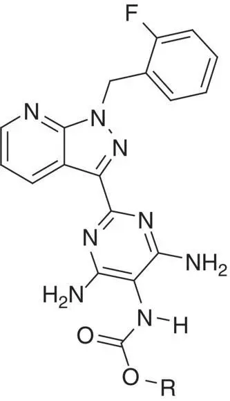 Compound R cGMP formation MEC aμM ClogD 37 pH 75 In vitro clearance rat - фото 21