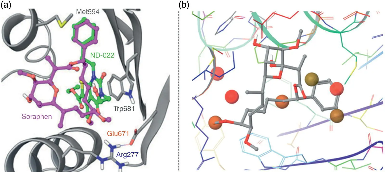 Figure 21 a An overlay of ND022 with the natural product soraphen and b - фото 2