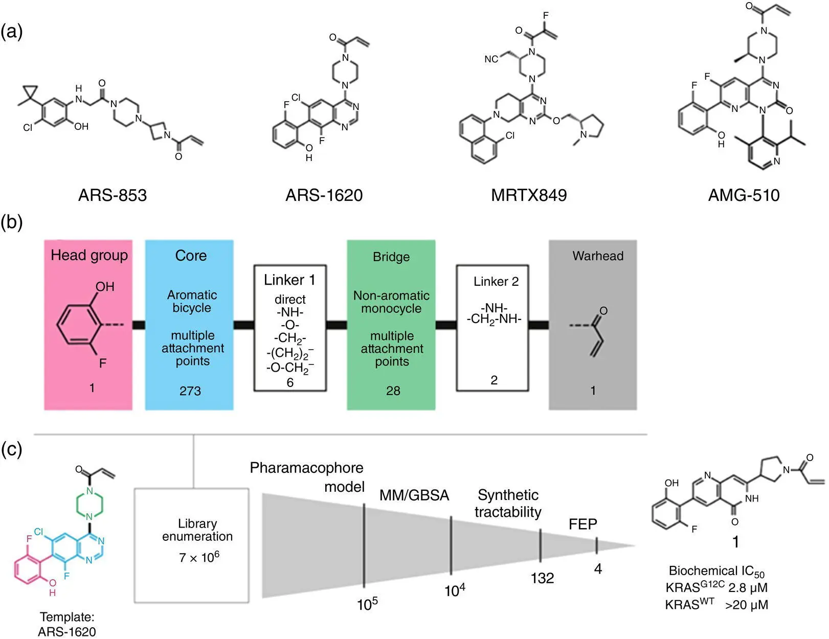 Figure 24 a Inhibitors known to bind to the switchII pocket of KRAS G12C - фото 5