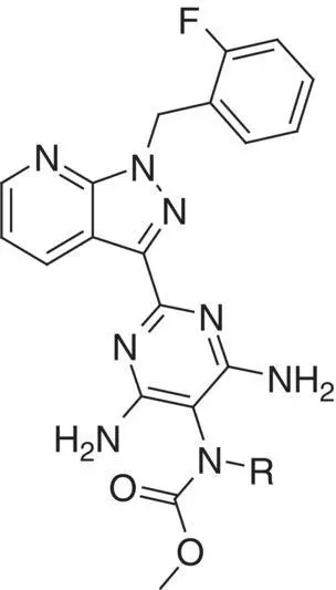 Compound R cGMP formation MEC aμM ClogD 37 pH 75 In vitro clearance rat - фото 12