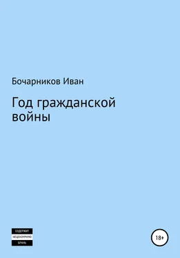 Иван Бочарников Год гражданской войны обложка книги