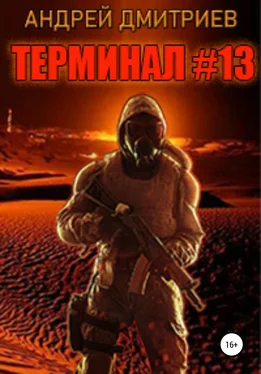 Андрей Дмитриев Терминал #13 обложка книги