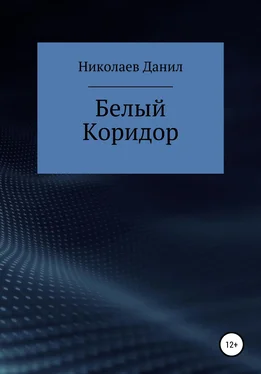 Данил Николаев Белый коридор обложка книги