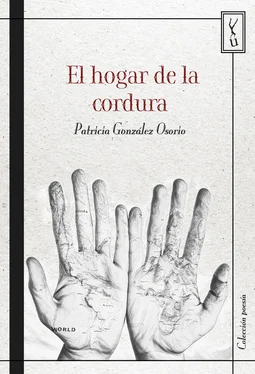 Patricia González Osorio El hogar de la cordura обложка книги