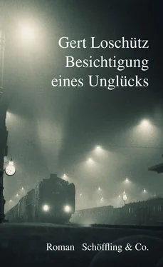 Gert Loschütz Besichtigung eines Unglücks обложка книги