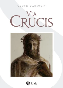 Georg Gänswein Vía Crucis обложка книги