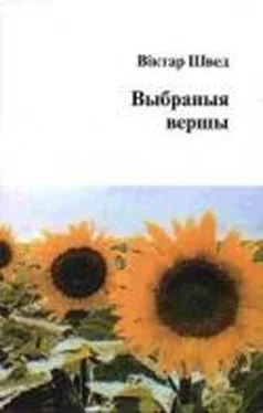 Віктар Швед Выбраныя вершы обложка книги