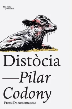 Pilar Codony Distòcia обложка книги