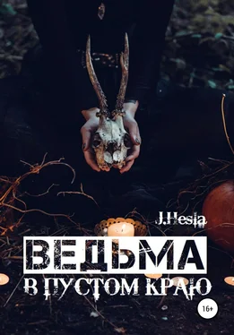 J.Hesla Ведьма в пустом краю обложка книги