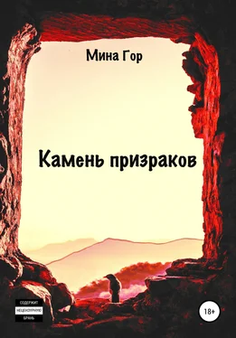 Мина Гор Камень призраков обложка книги