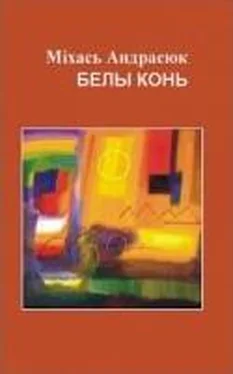 Міхась Андрасюк Белы конь обложка книги