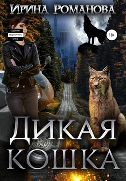 Ирина Романова Дикая кошка обложка книги