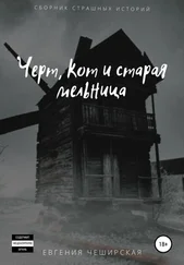 Евгения Чеширская - Кот, черт и старая мельница. Сборник страшилок