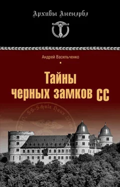 Андрей Васильченко Тайны черных замков СС обложка книги
