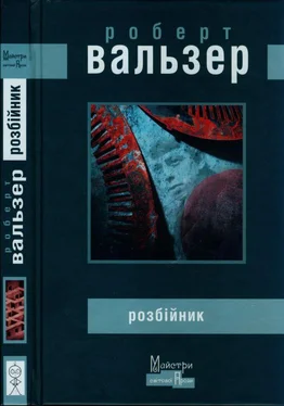 Роберт Вальзер Розбійник обложка книги