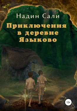 Надин Сали Приключения в деревне Языково обложка книги