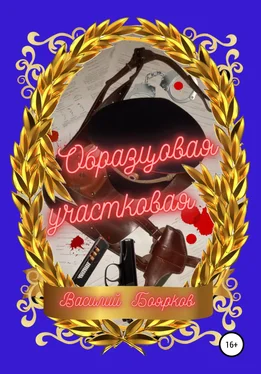 Василий Боярков Образцовая участковая обложка книги