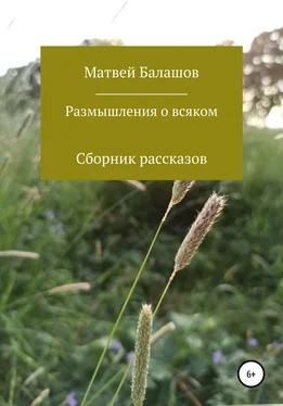 Матвей Балашов Размышления о всяком обложка книги