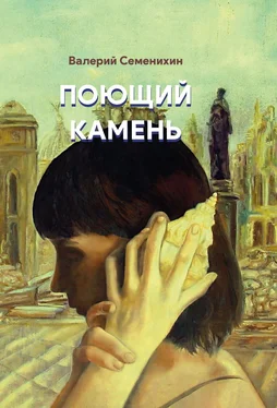 Валерий Семенихин Поющий камень обложка книги