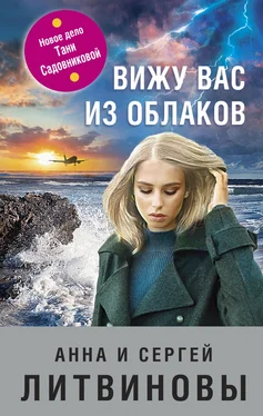 Анна и Сергей Литвиновы Вижу вас из облаков обложка книги