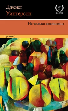 Дженет Уинтерсон Не только апельсины обложка книги