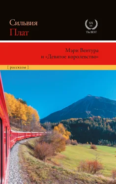 Сильвия Плат Мэри Вентура и «Девятое королевство» обложка книги