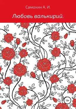 Александр Самохин Любовь валькирий обложка книги