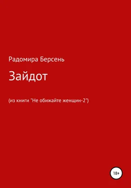 Радомира Берсень Зайдот обложка книги