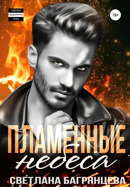 Светлана Багрянцева Пламенные небеса обложка книги